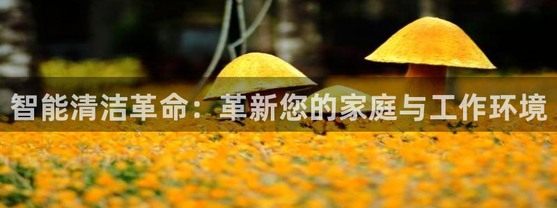 琳琅天上qq飞车娱乐