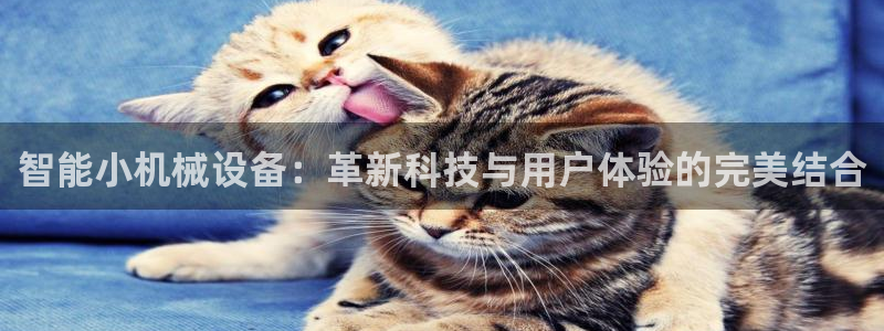 琳琅聊娱乐