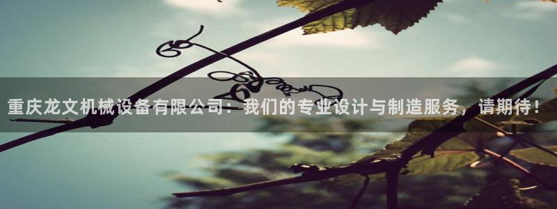 琳琅娱乐总代