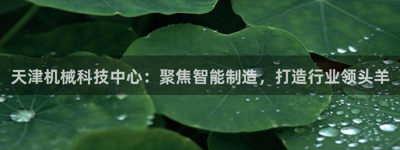 琳琅作者娱乐圈女主