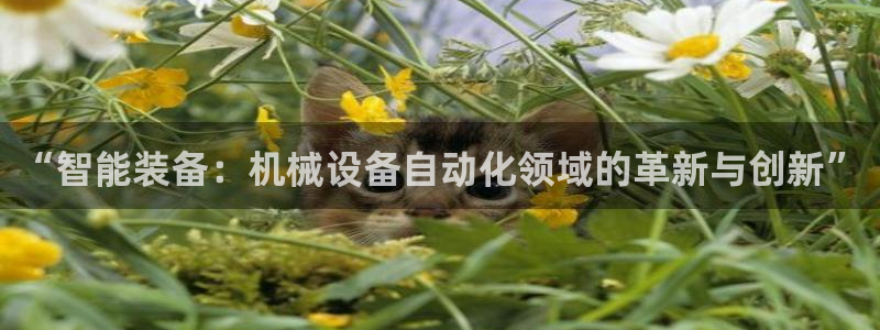 琳琅娱乐a