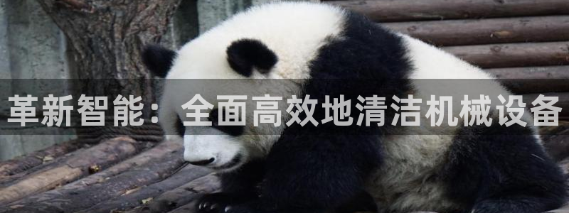 祖龙娱乐官网爱在琳琅