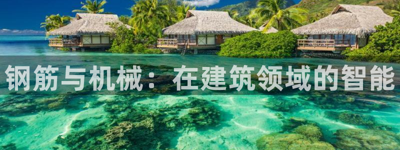 qq飞车琳琅娱乐组