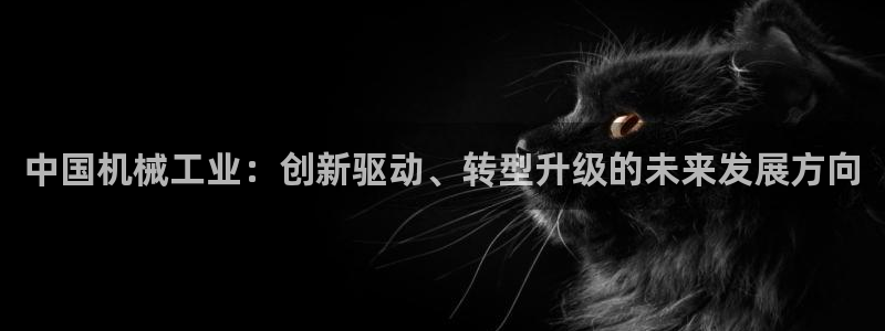 琳琅娱乐 全麦优质