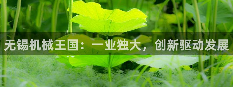 琳琅科技娱乐机器人
