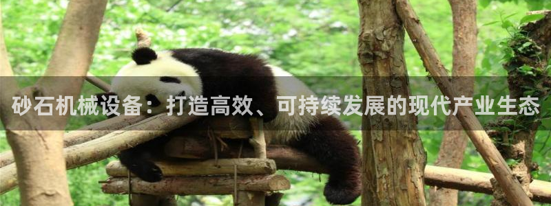 琳琅娱乐工作室