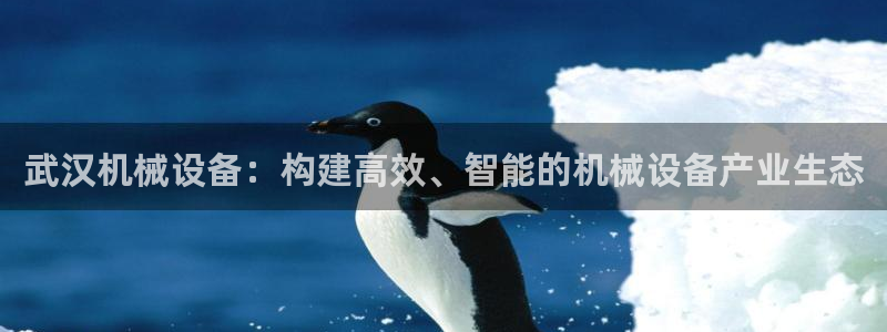 琳琅娱乐招商