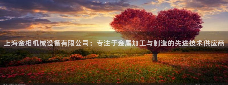 琳琅科技娱乐机器人