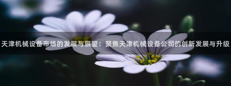 琳琅满目的娱乐设施
