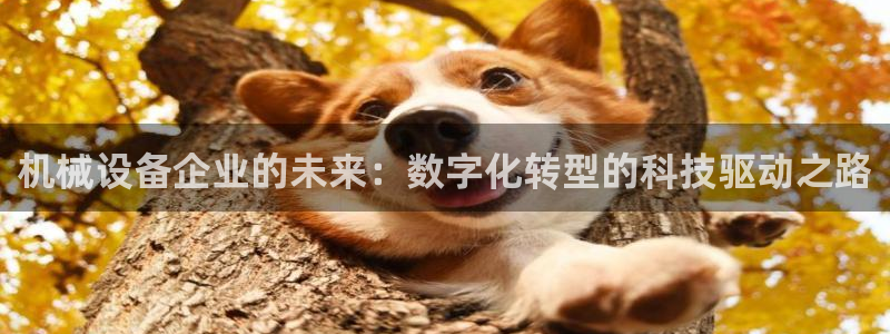 琳琅娱乐导航