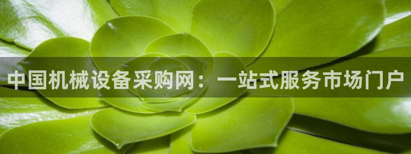 琳琅娱乐平台怎么样