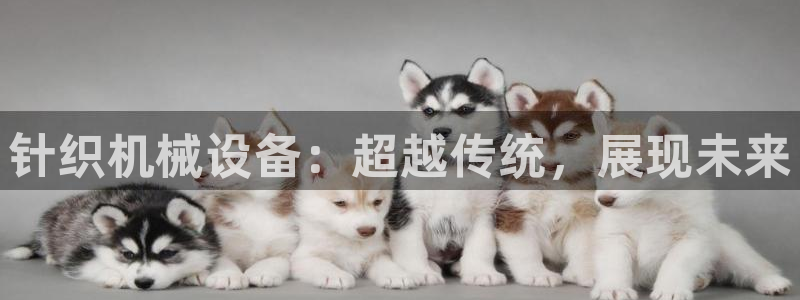 琳琅娱乐m