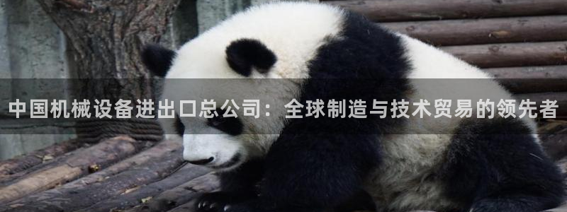 琳琅娱乐怎么样知乎