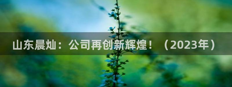 琳琅娱乐工作室招聘条件