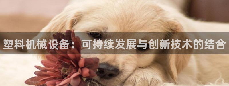 琳琅娱乐社区600