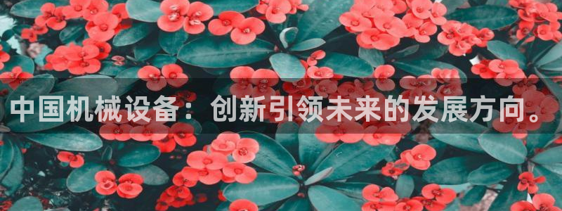 琳琅娱乐组飞车