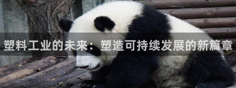 琳琅科技娱乐
