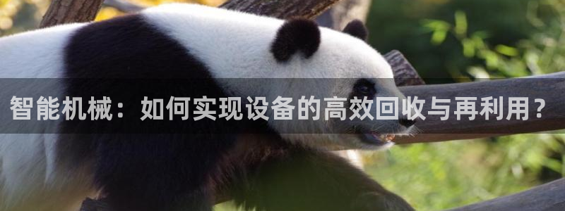 琳琅社区娱乐视频