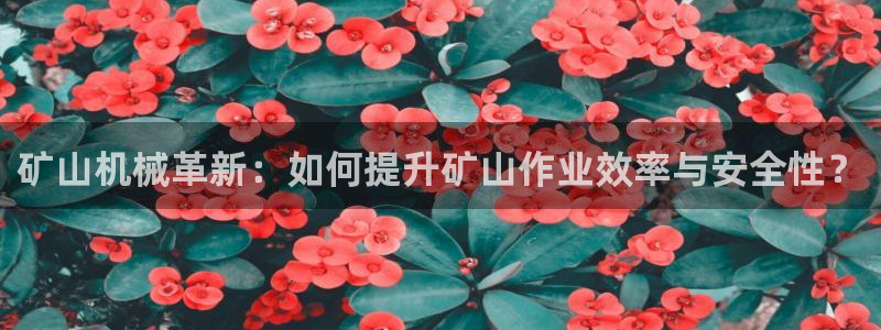 琳琅科技娱乐机器人插件