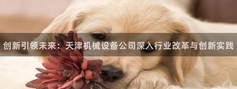 琳琅娱乐放心33300