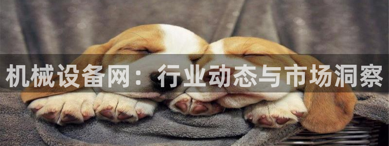 琳琅娱乐招商