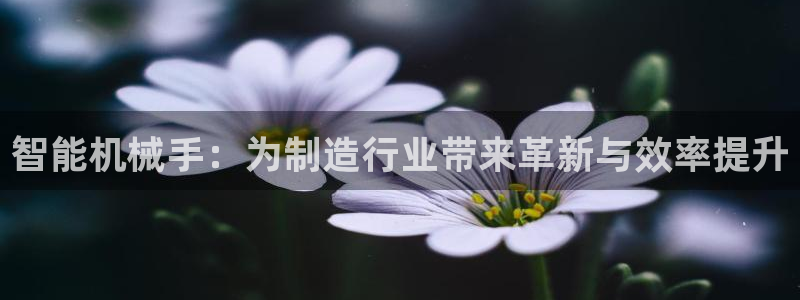 琳琅说娱乐
