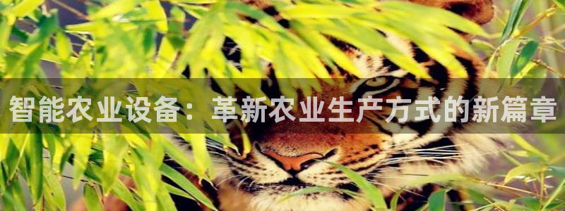 琳琅娱乐代理人是谁