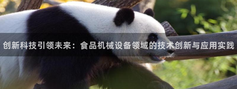 琳琅娱乐 全麦优质