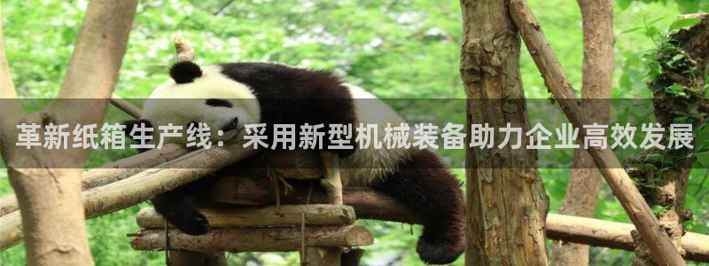 琳琅满目的娱乐设施