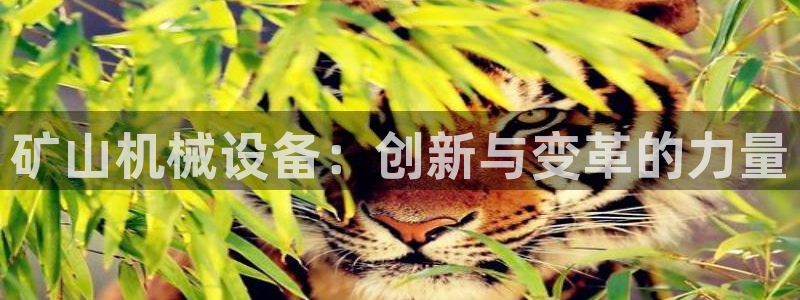 青娱娱乐琳琅导航