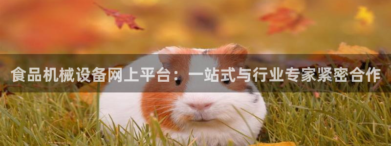 琳琅娱乐APP下载