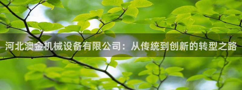 琳琅娱乐工作室招聘信息