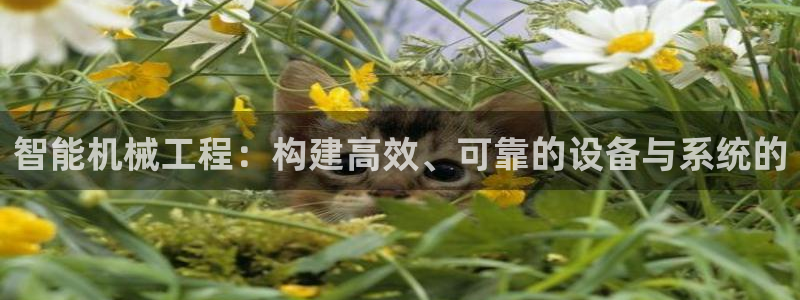 琳琅娱乐工作室招聘条件