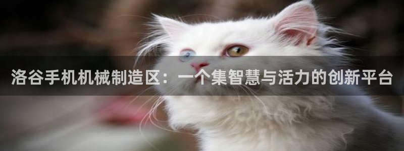 琳琅科技娱乐机器人