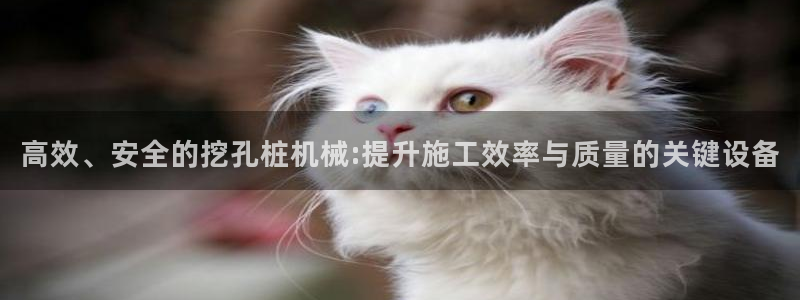 娱乐从琳琅榜开始的小说