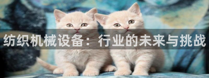 琳琅娱乐在哪直播的