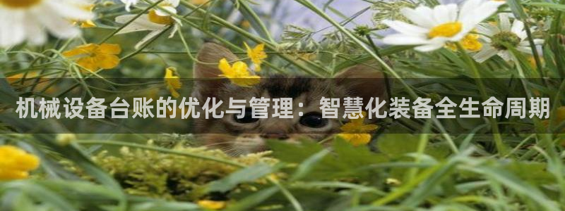 琳琅娱乐代理人是谁