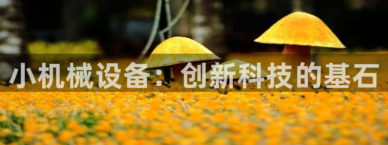 琳琅娱乐是什么