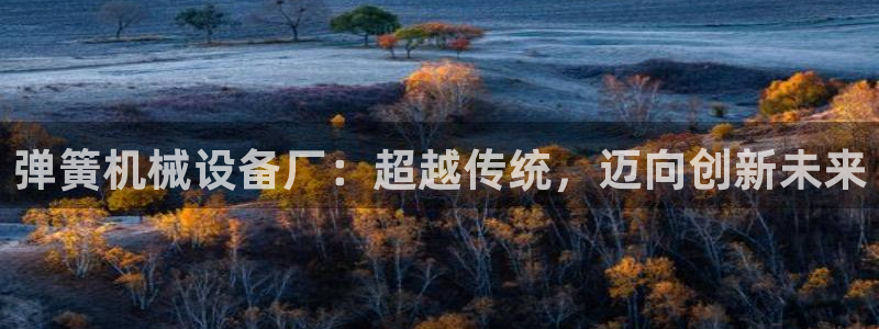 琳琅娱乐直播