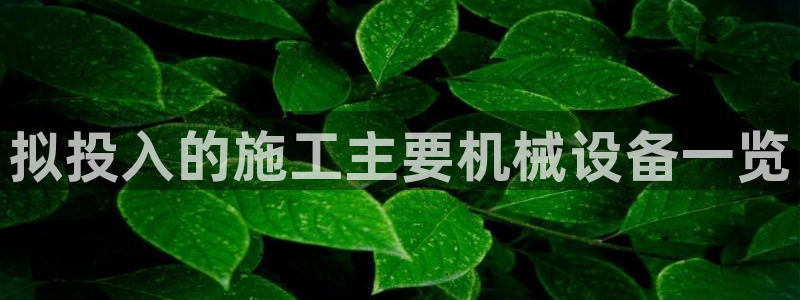 琳琅满目的娱乐设施