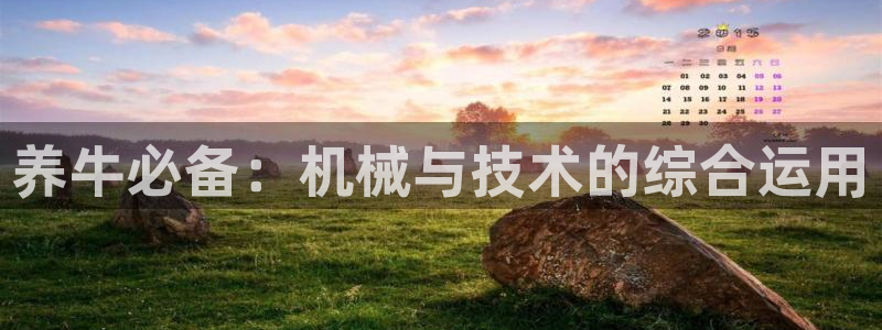 琳琅科技娱乐机器