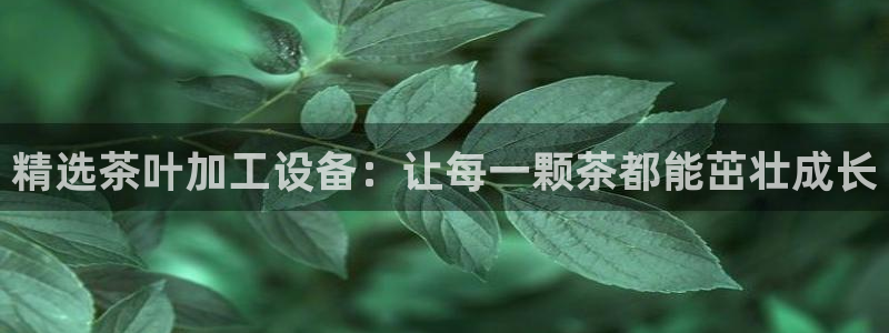 琳琅偏爱娱乐