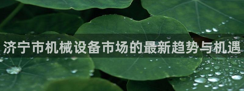 琳琅娱乐除7O777