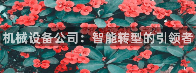 琳琅娱乐在线观看