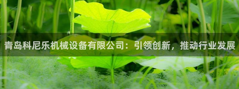琳琅娱乐机器人