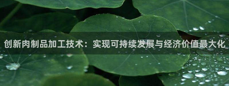 琳琅娱乐机器人