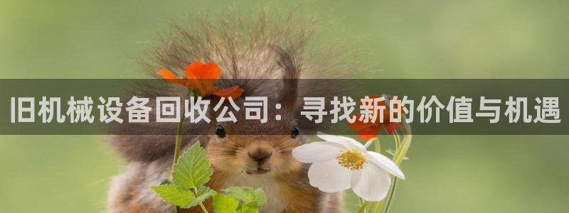 琳琅娱乐天美2